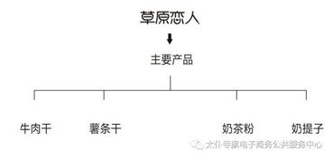 聚力农产品上行，太仆寺旗电商销售品牌策划服务全旗 经营电子商务