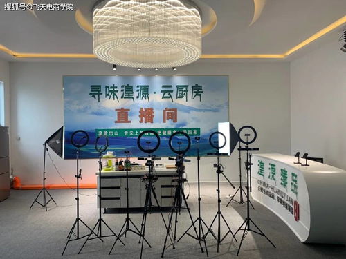 电商赋能传统技艺，湟源城关镇玉珍唐卡店与大藏印象披肩店入驻县电子商务孵化园