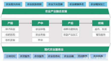数字浪潮下的县域经济新图景 电子商务驱动创新与升级